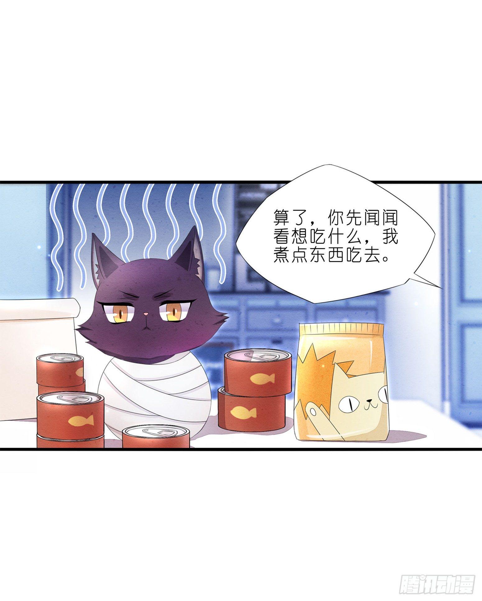 《做我的猫》02 卖萌可耻但有用 第12页