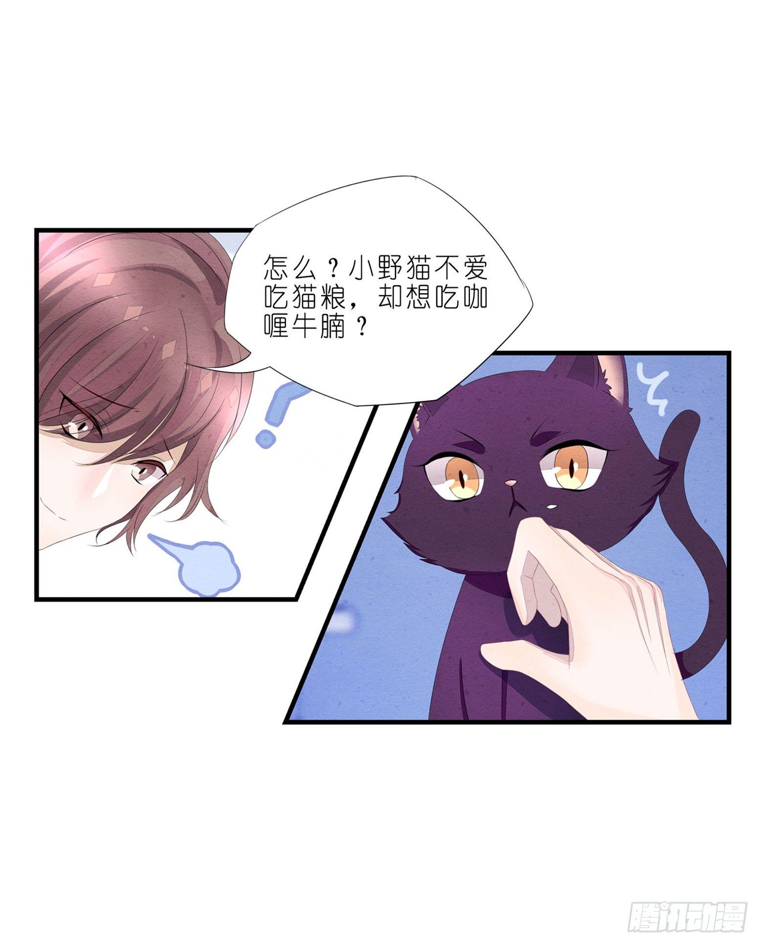 《做我的猫》02 卖萌可耻但有用 第21页