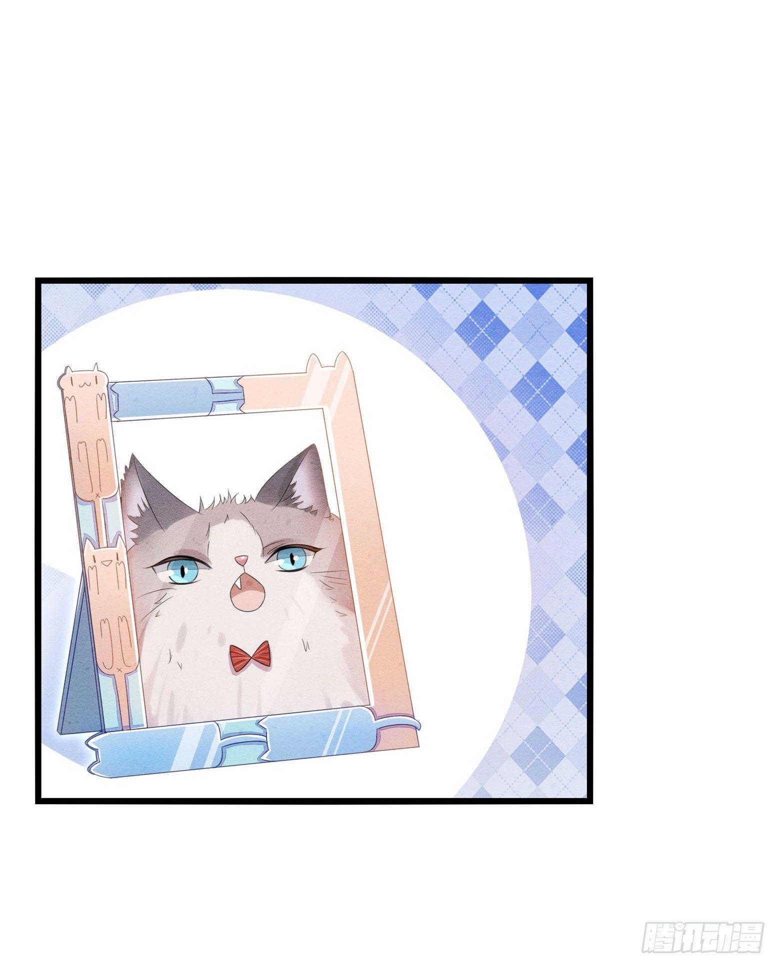 《做我的猫》02 卖萌可耻但有用 第6页