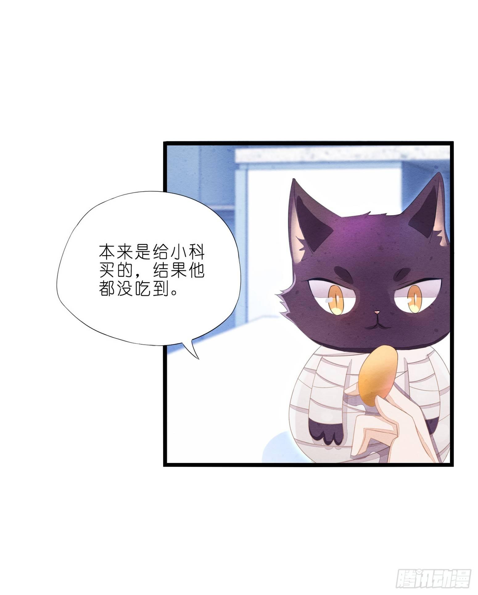 《做我的猫》02 卖萌可耻但有用 第7页