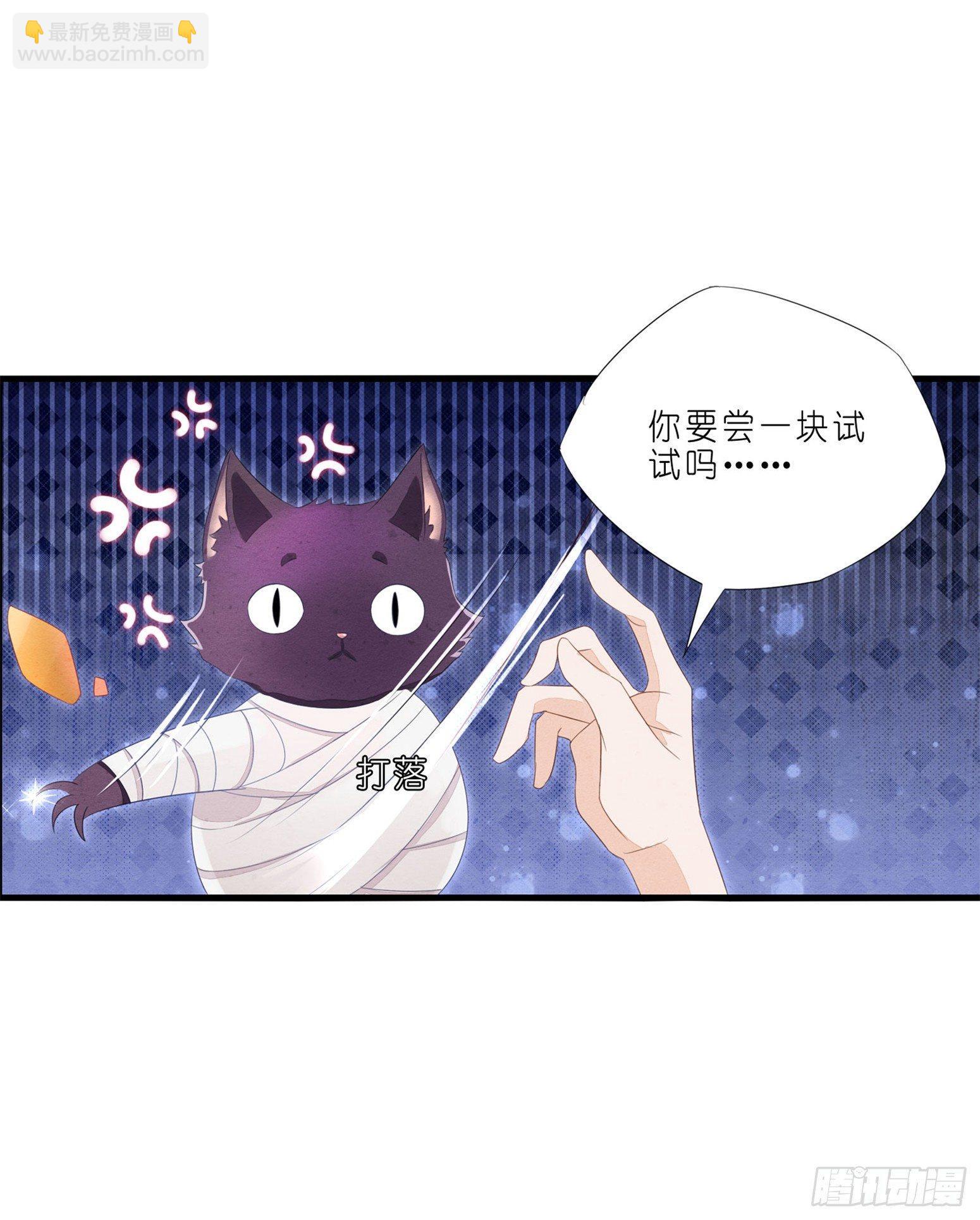 《做我的猫》02 卖萌可耻但有用 第8页