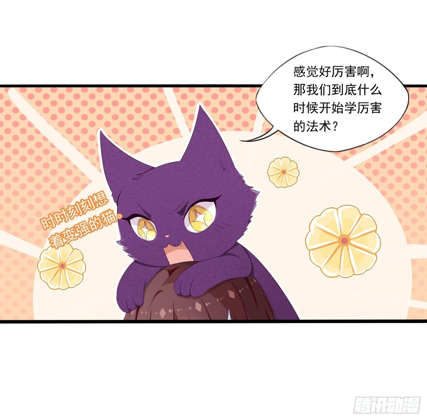 《做我的猫》15 阿芙罗狄忒 第11页