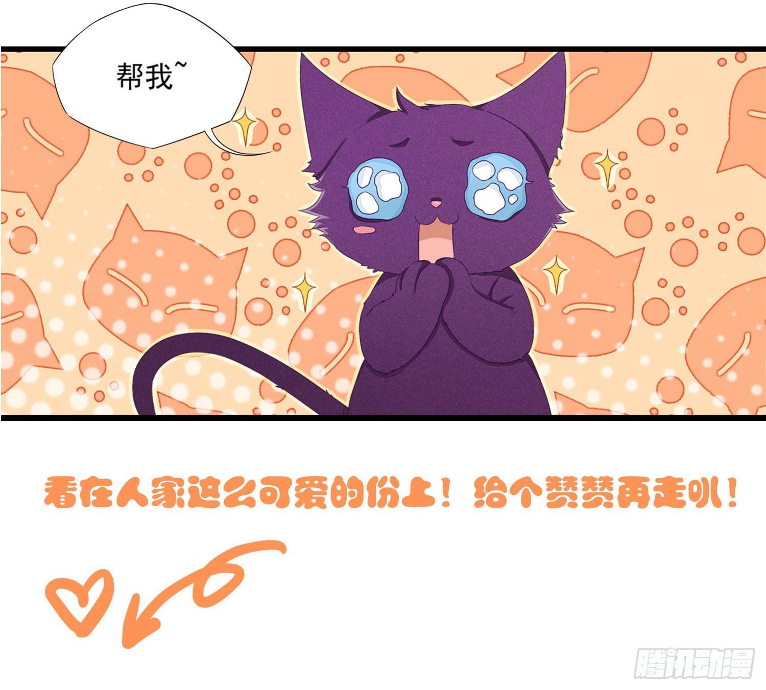 《做我的猫》15 阿芙罗狄忒 第30页