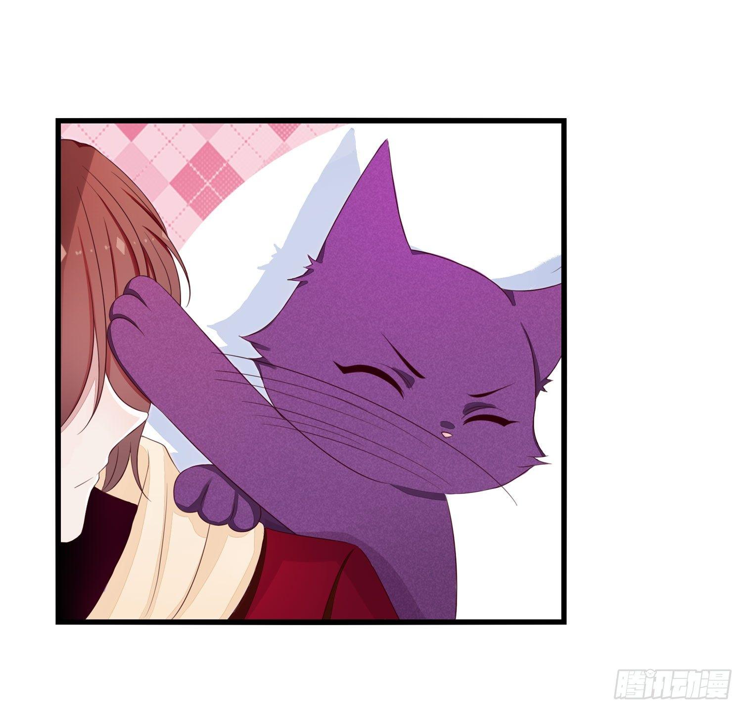 《做我的猫》16树人先生 第44页