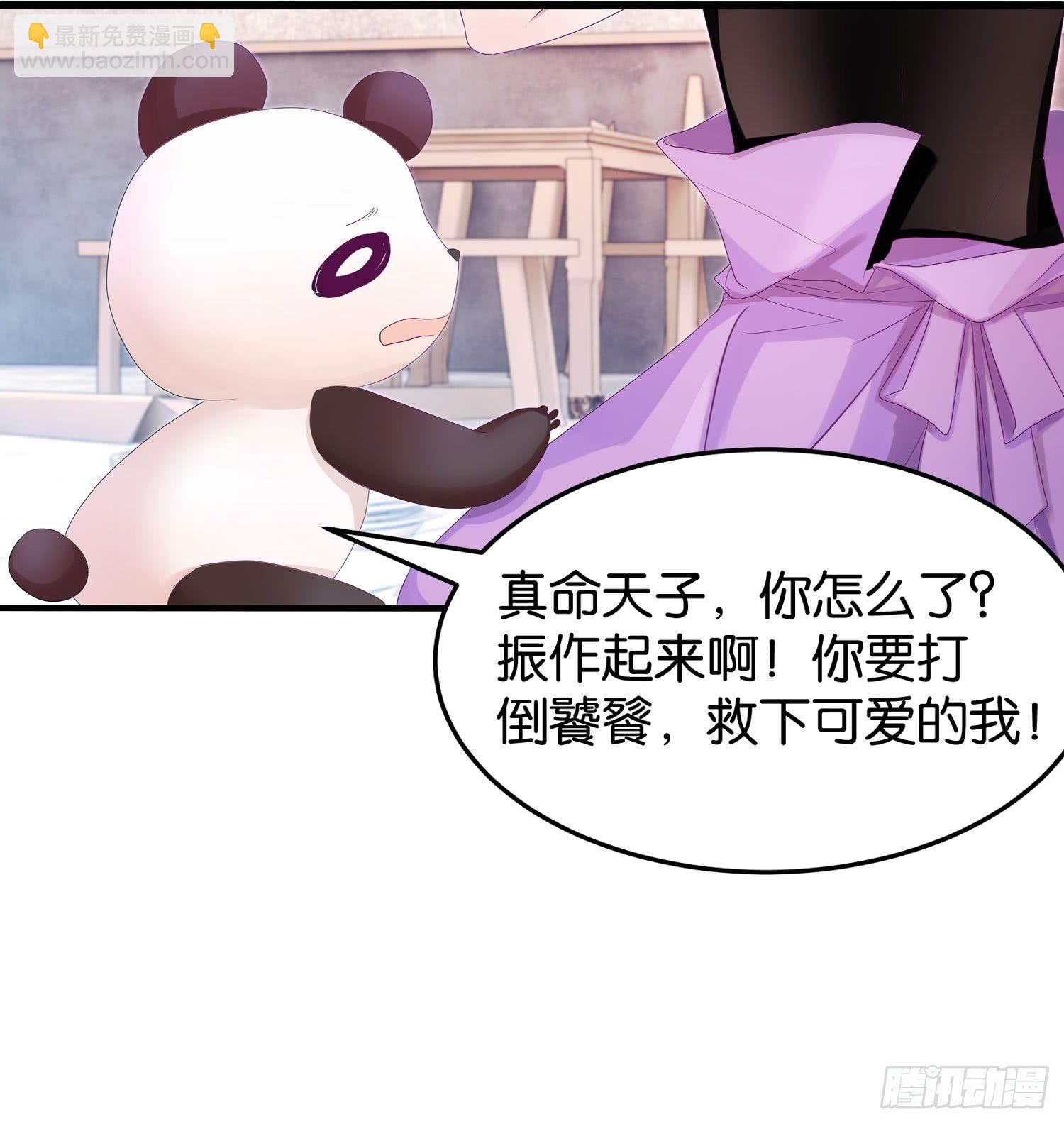 《做我的猫》21 违反校规 第8页