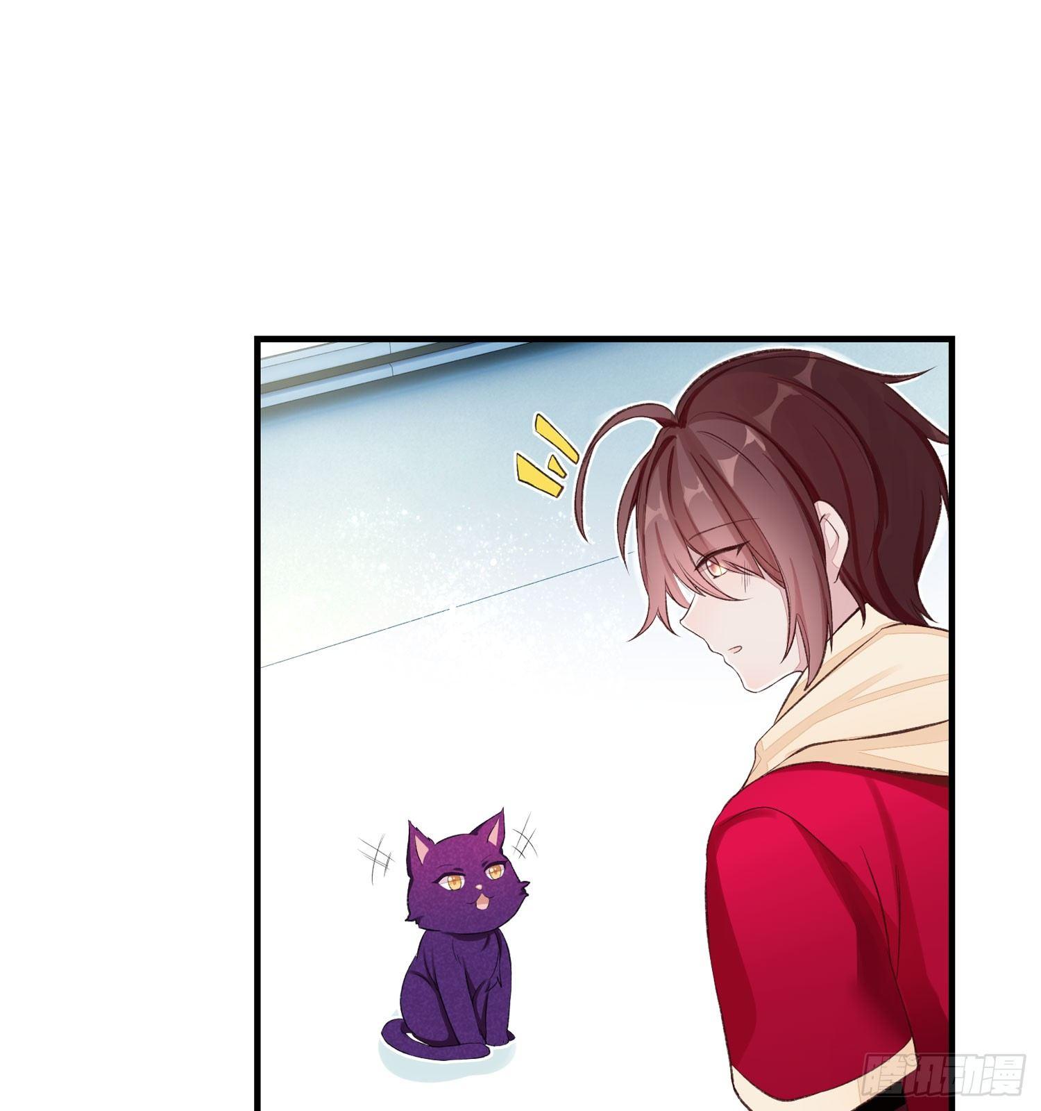 《做我的猫》24 风听月不是人！ 第19页