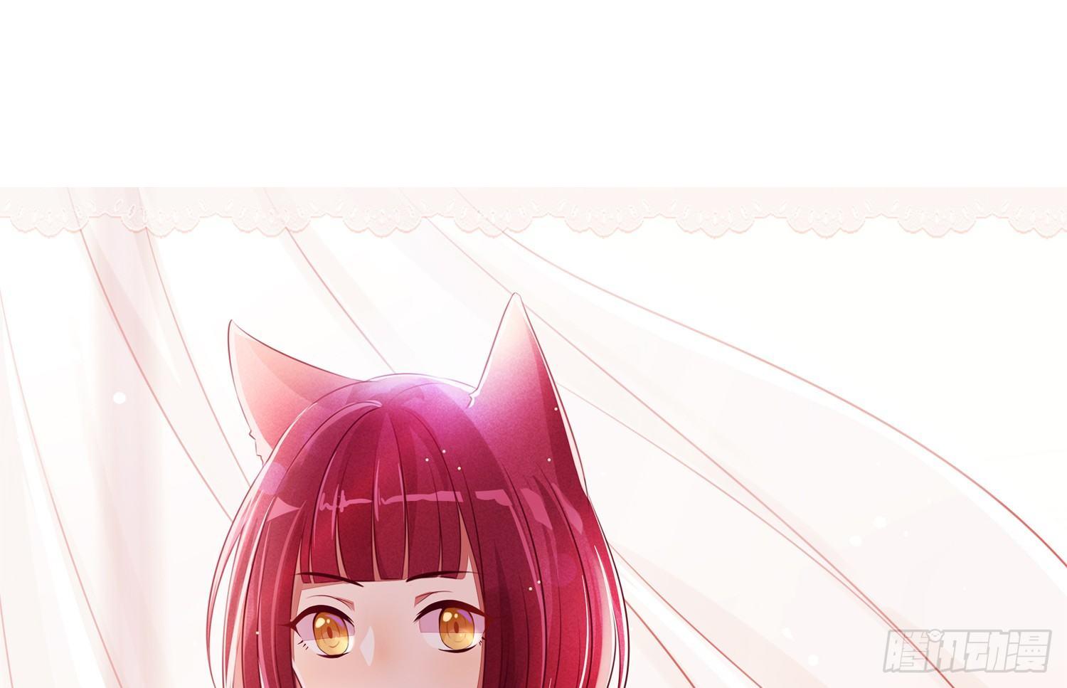《做我的猫》34 成为室友 第1页