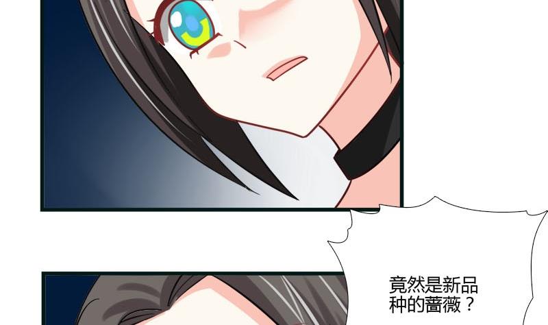 《蔷薇十字架》第12话 林中的陌生人 第23页