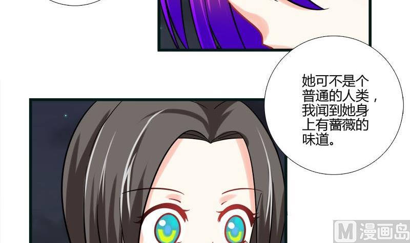 《蔷薇十字架》第12话 林中的陌生人 第30页