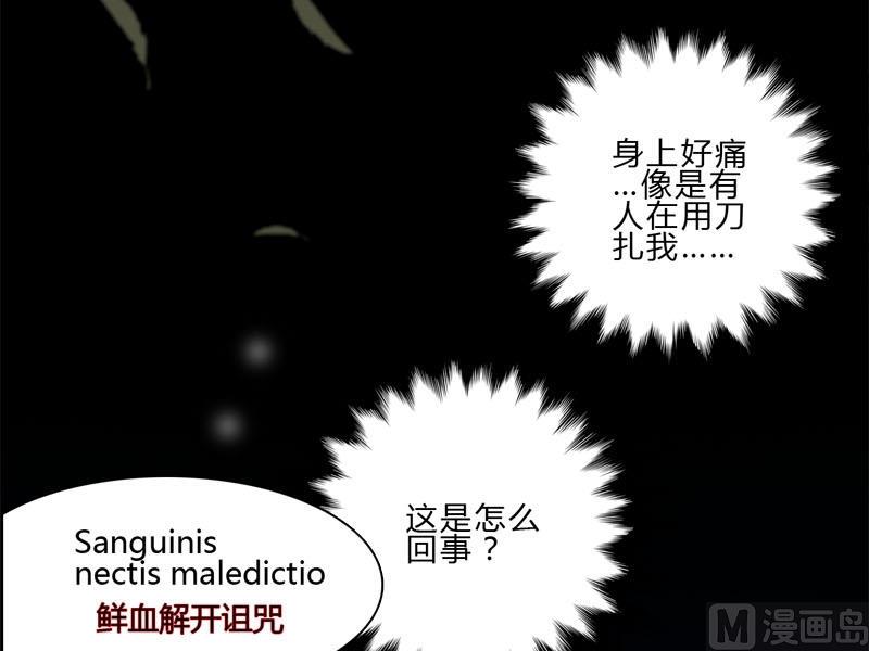 《蔷薇十字架》第27话 绿色的神秘人 第3页
