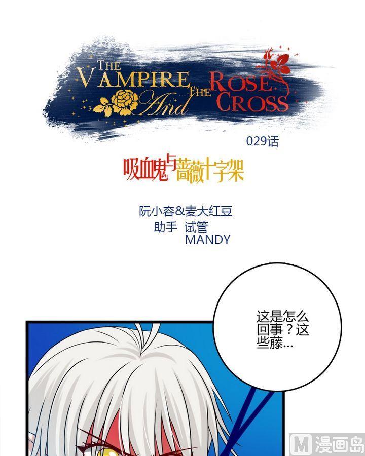 《蔷薇十字架》第29话 共生魔法的诅咒 第1页