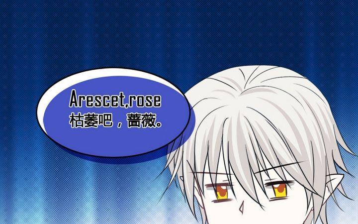 《蔷薇十字架》第30话 蔷薇的能力 第17页