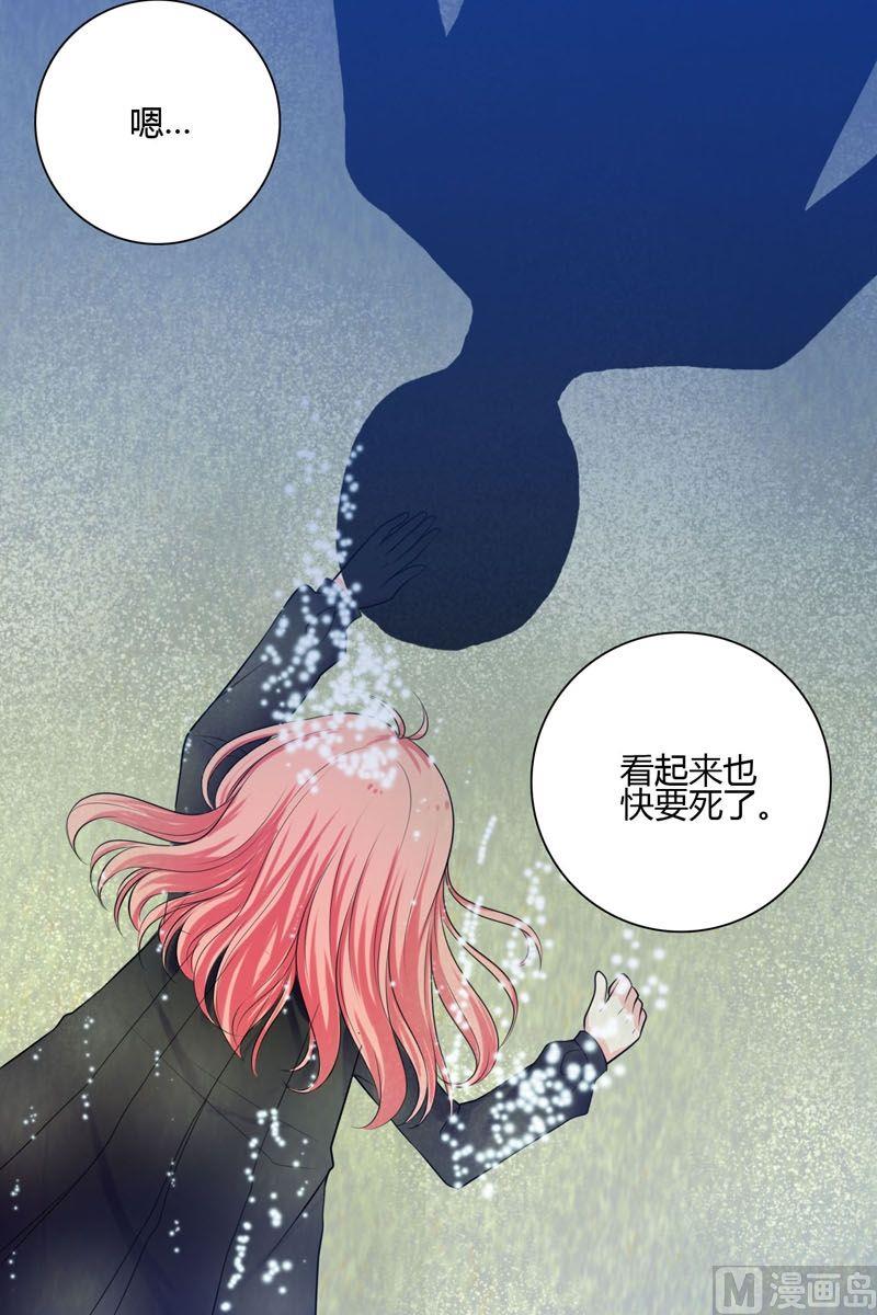 《蔷薇十字架》第42话快消失了 第10页