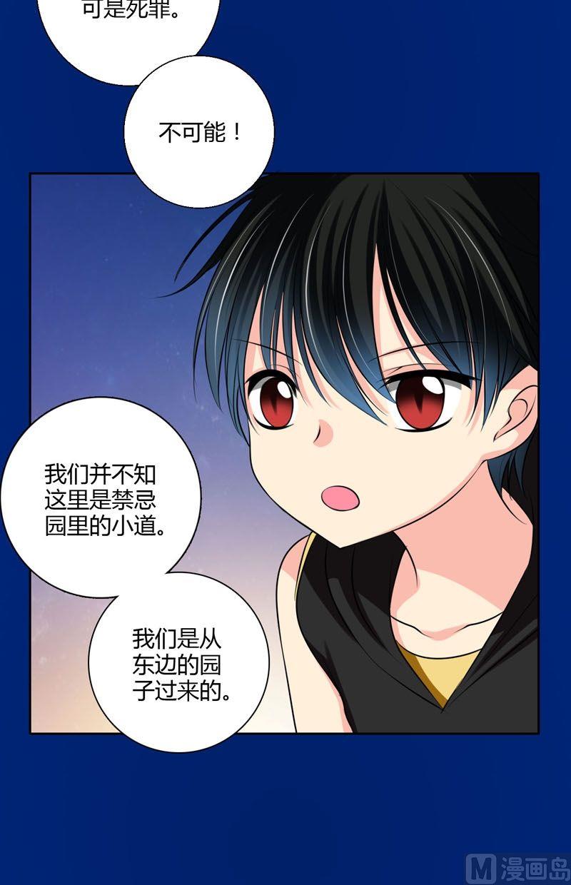 《蔷薇十字架》第55话黄雀与螳螂 第13页