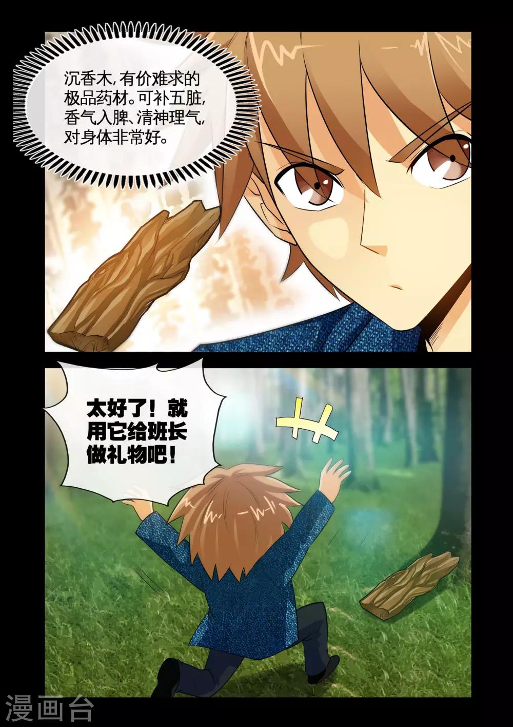 《极品小神医》第14话1 沉香木 第3页