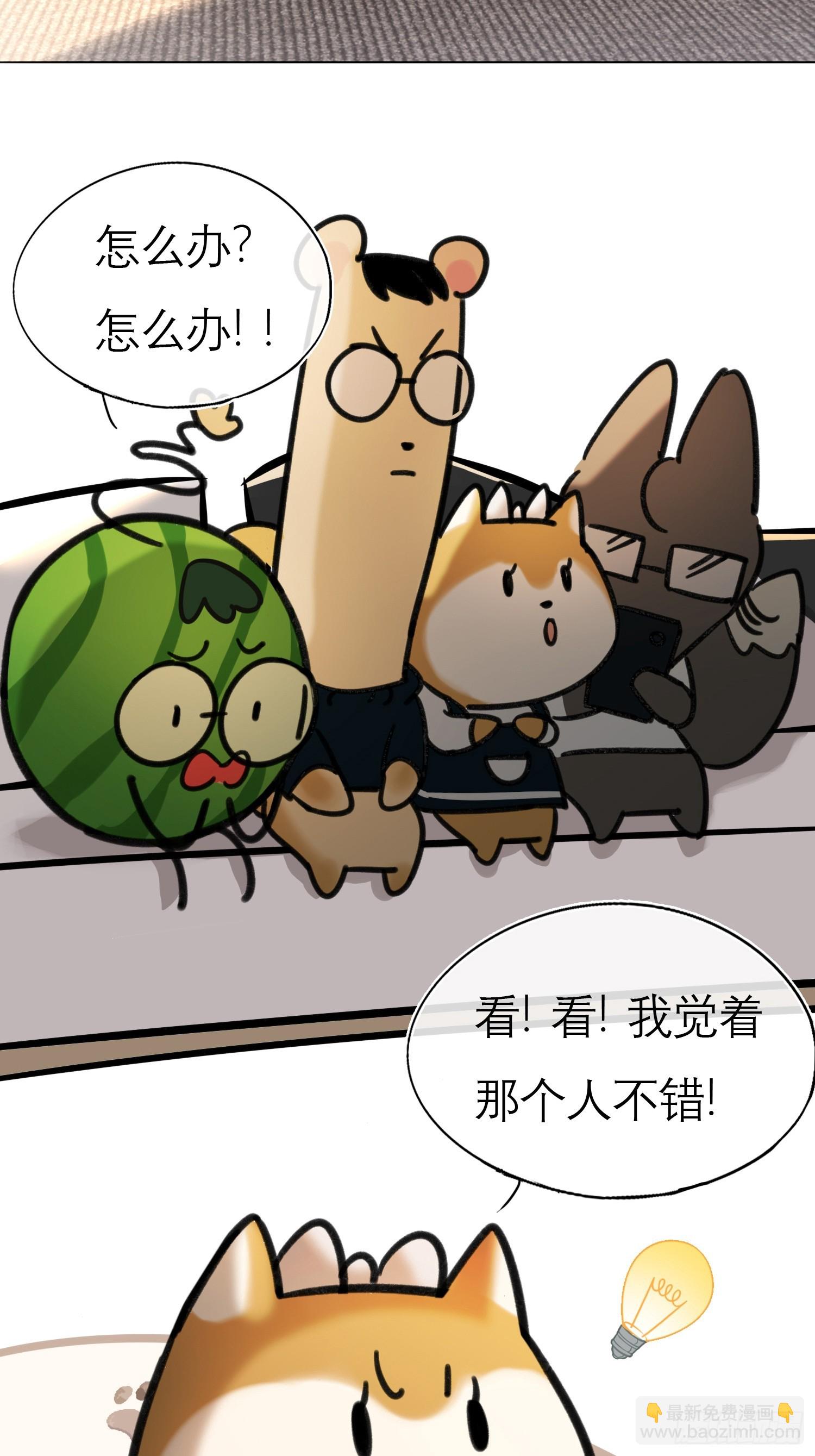 《旧雨作新欢》身边人 小剧场 第3页