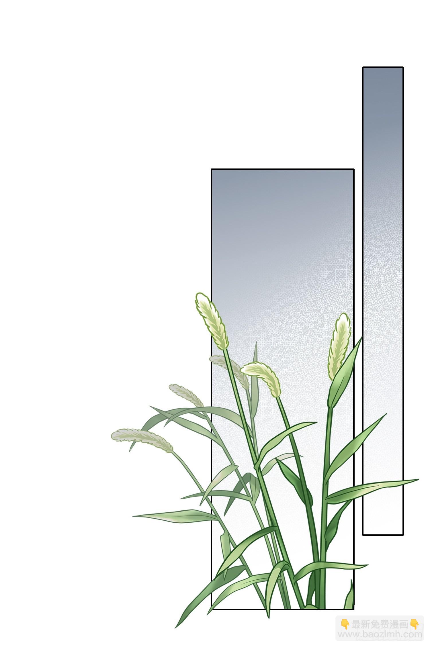 《旧雨作新欢》为虎作伥 第10页