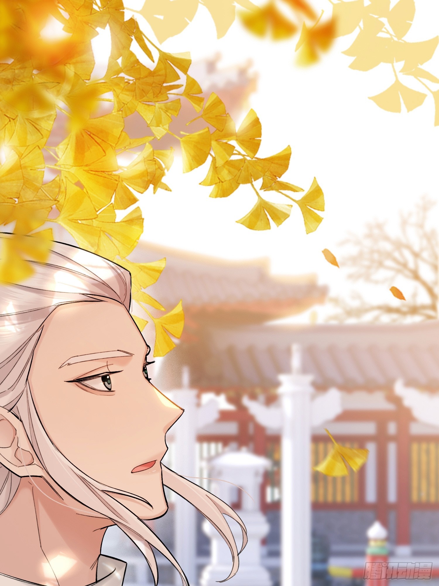 《旧雨作新欢》喜轿 第12页