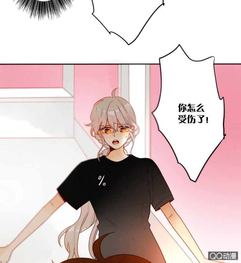 《钓上一只花美男》第33话袭击者竟是妖族 第37页