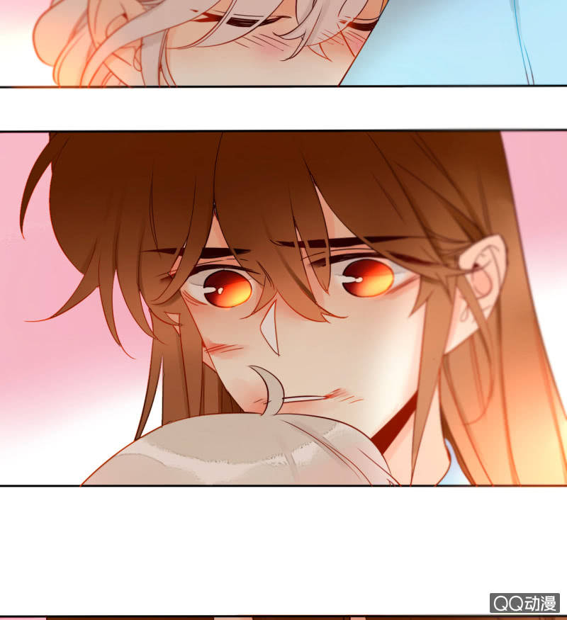 《钓上一只花美男》第33话袭击者竟是妖族 第47页