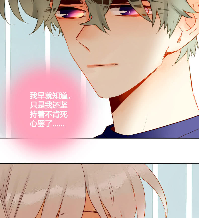 《钓上一只花美男》第39话重整妖界 第19页