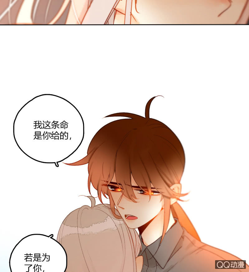 《钓上一只花美男》第43话妖族长老的阴谋 第15页
