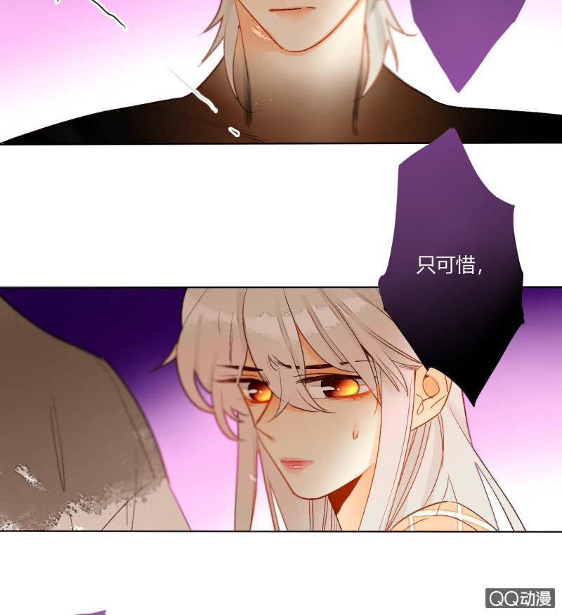 《钓上一只花美男》第43话妖族长老的阴谋 第29页