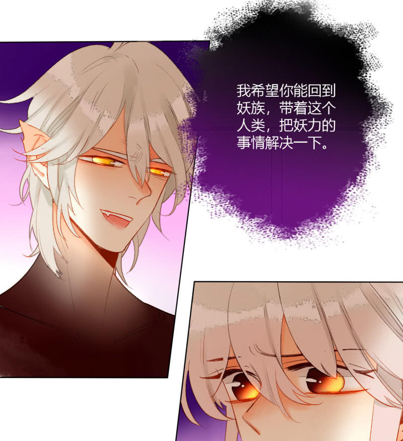《钓上一只花美男》第43话妖族长老的阴谋 第46页