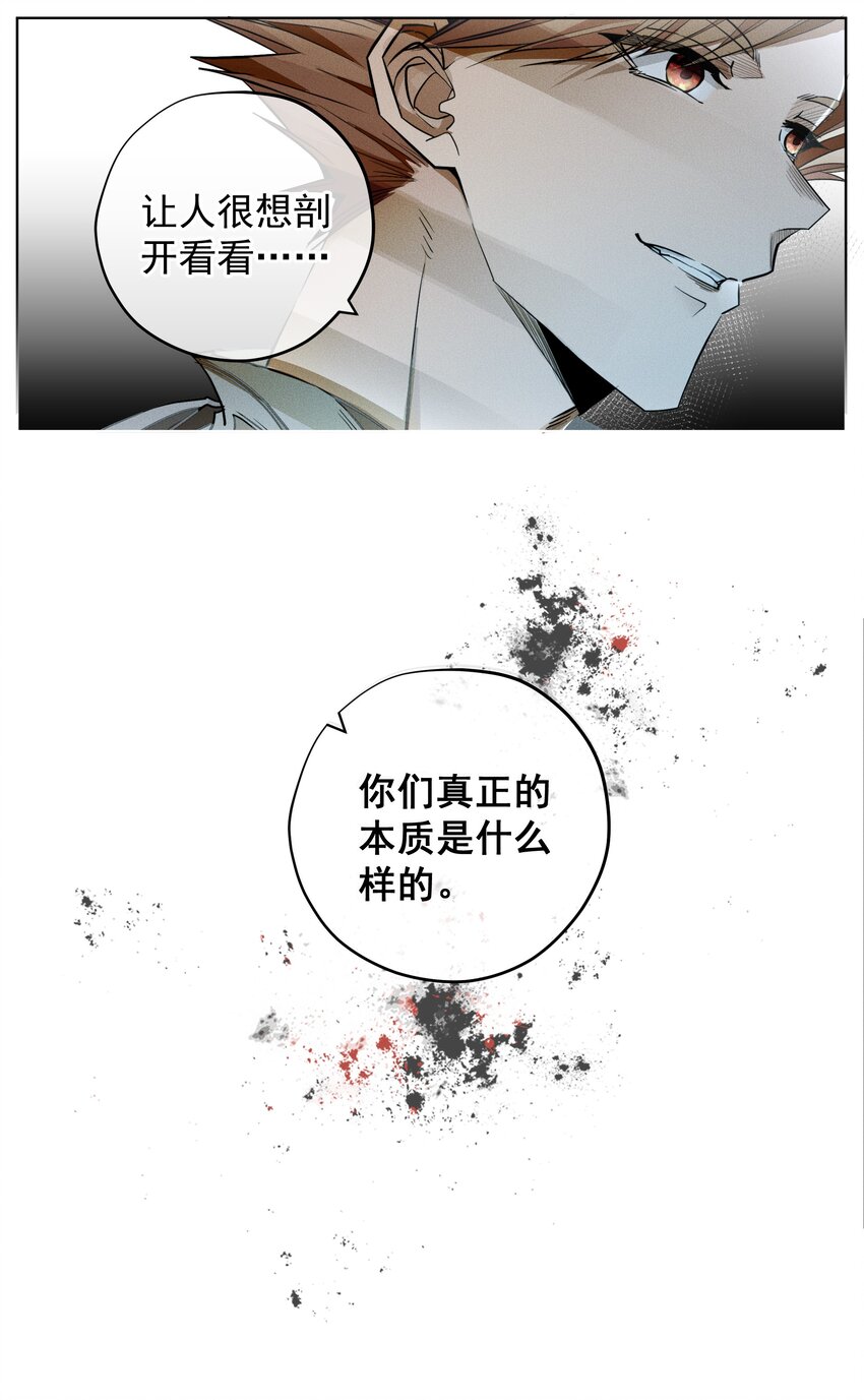 《男爵维特之死》004 一文不值 第22页