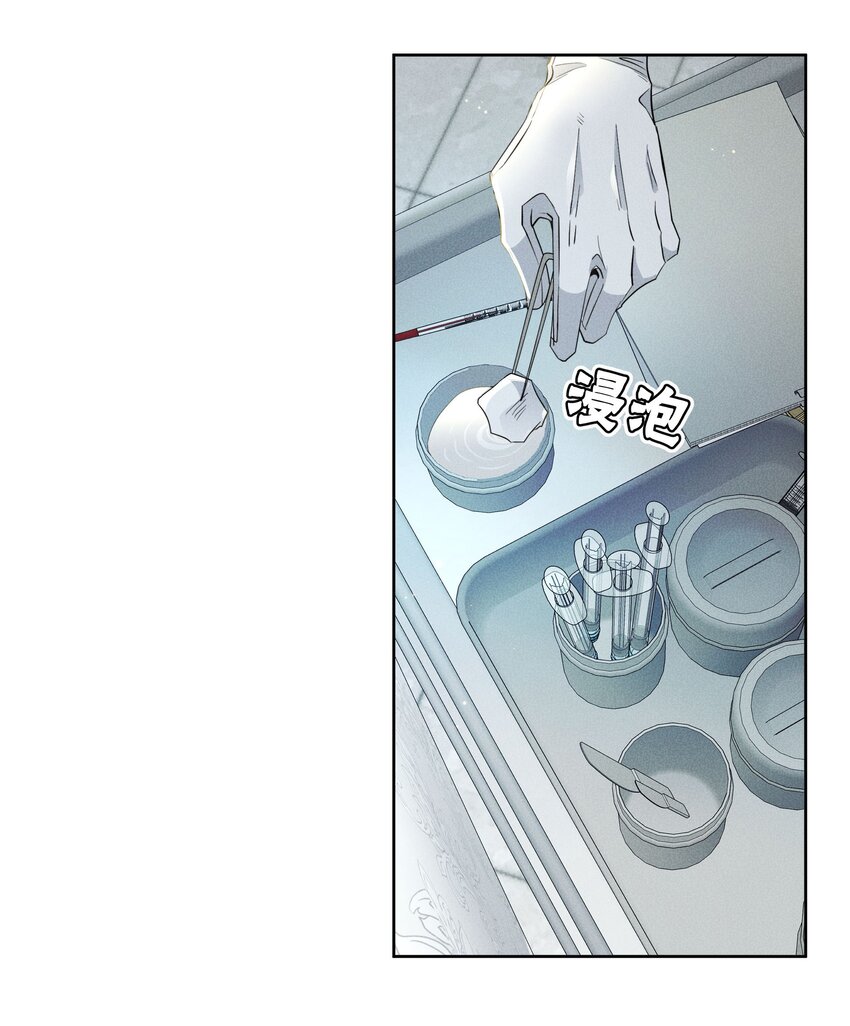 《男爵维特之死》025 光芒 第11页