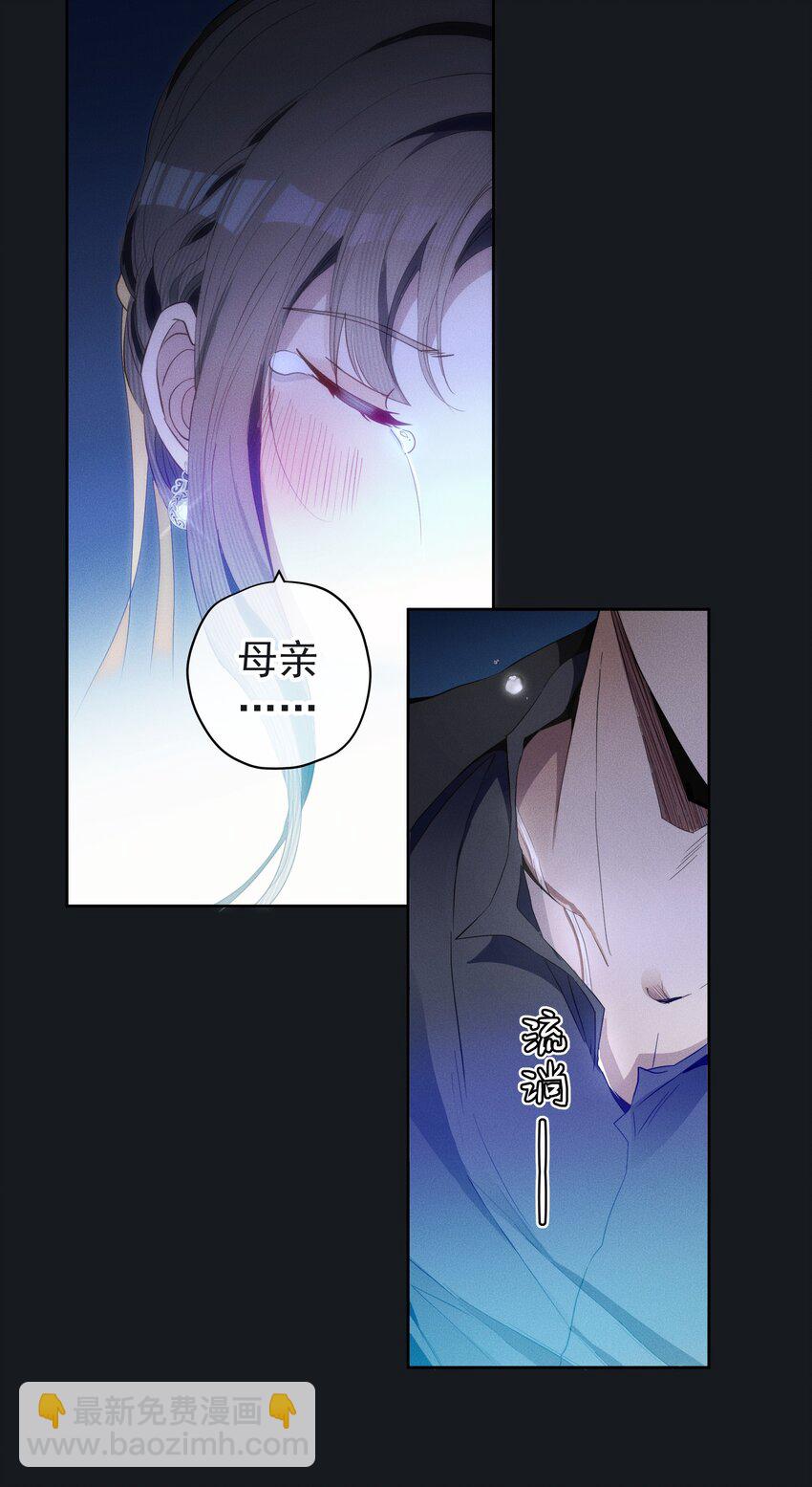 《男爵维特之死》044 镜花水月 第27页