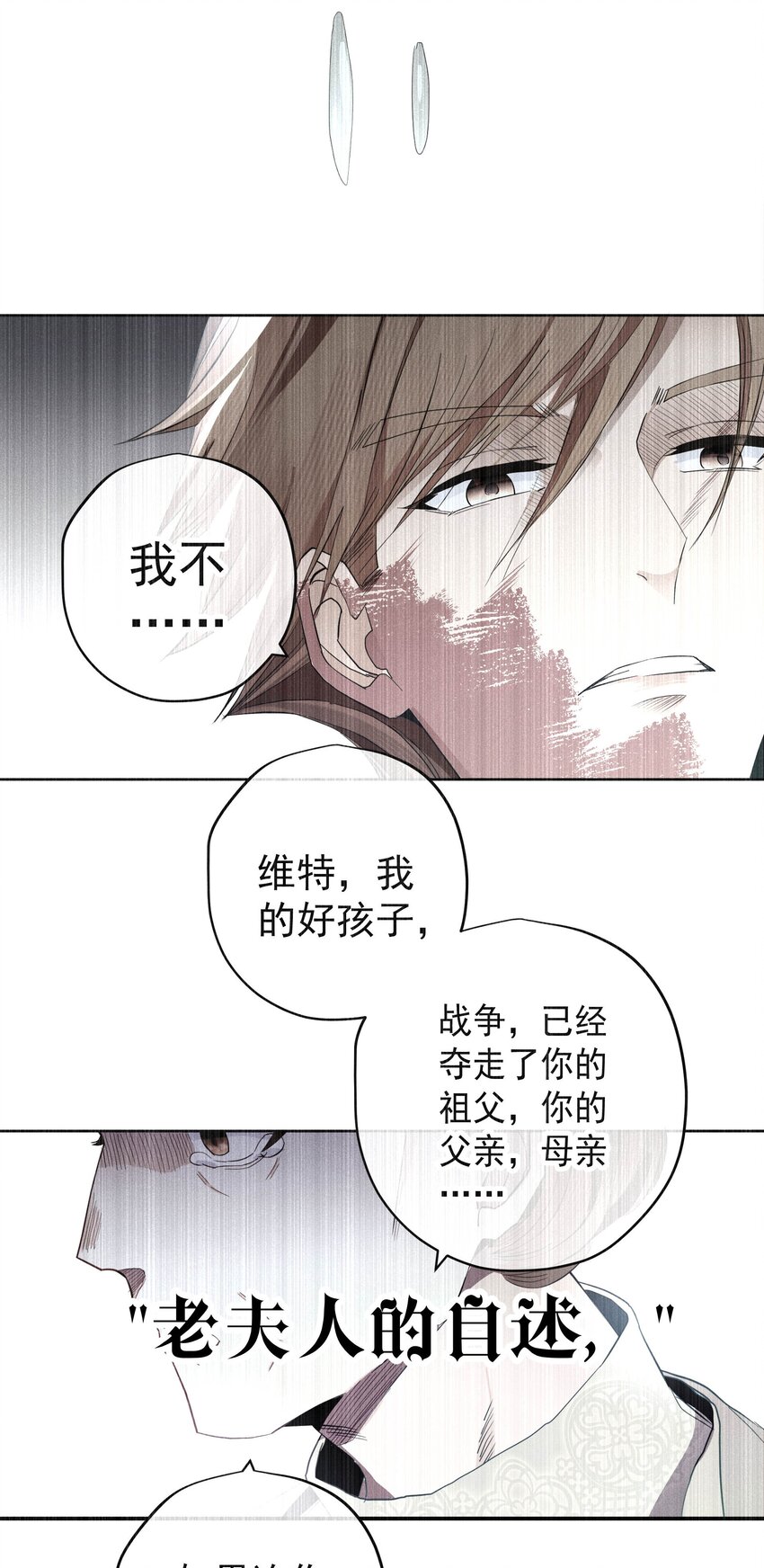 《男爵维特之死》054 死亡的钟声 第46页