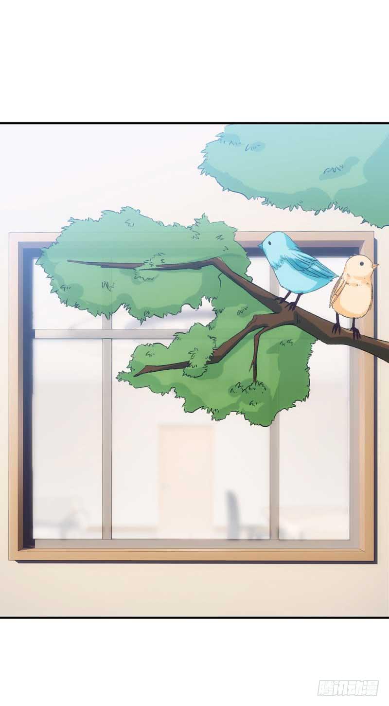 《逆光少女》总裁大人，请不要靠这么近！ 第3页