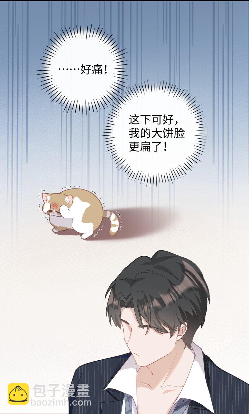 《加菲猫复仇记》004 再回李府 第18页
