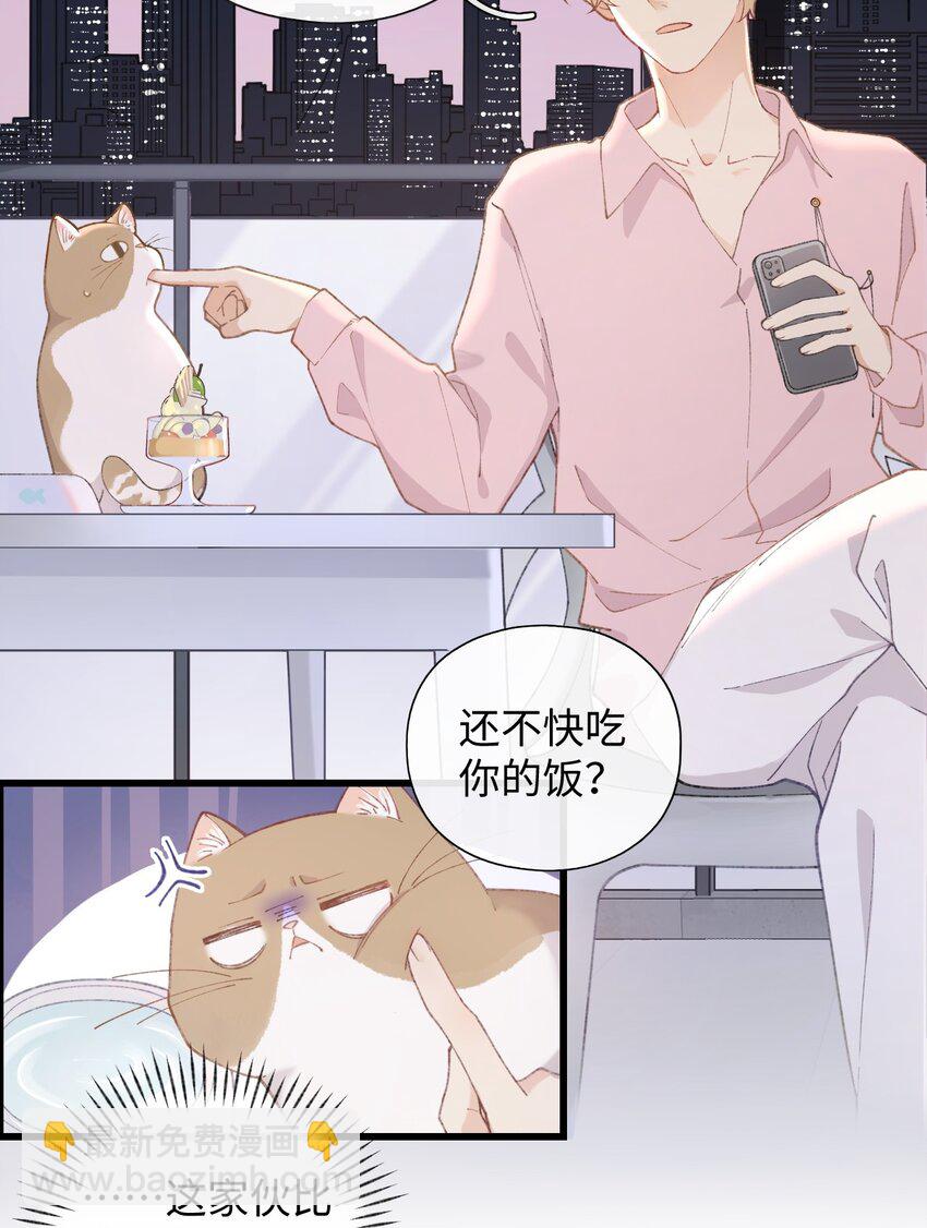 《加菲猫复仇记》002 情侣养宠，多半分手 第14页