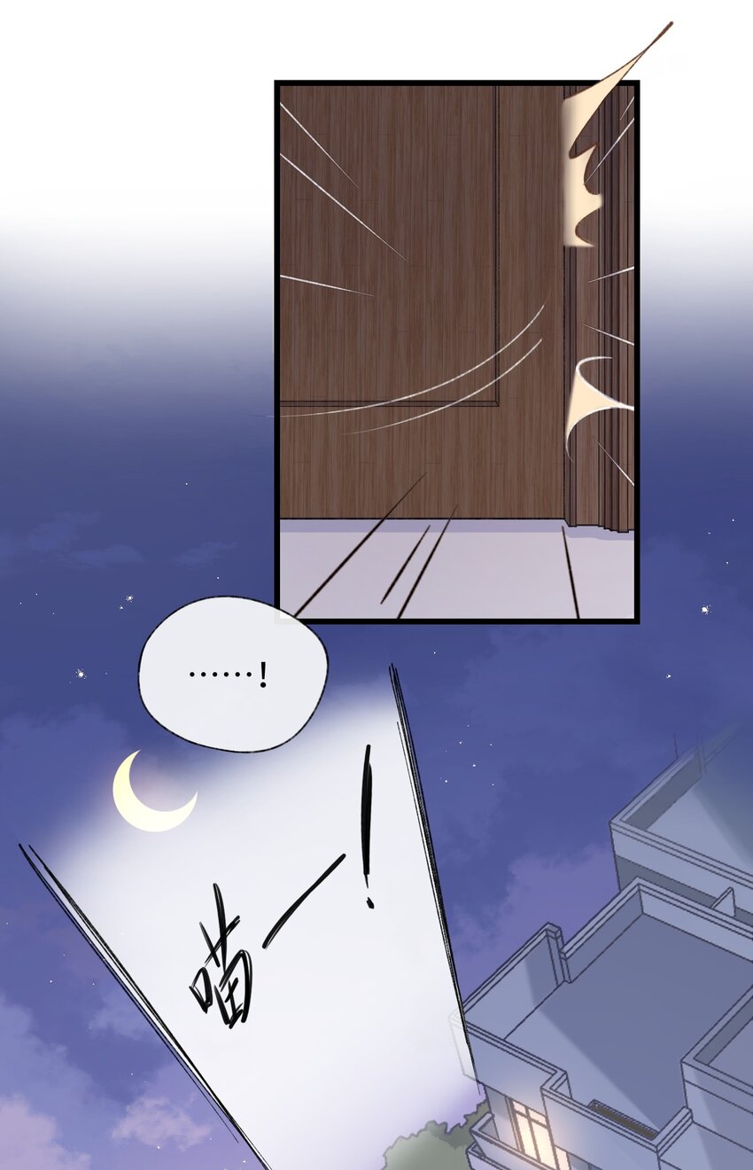 《加菲猫复仇记》002 情侣养宠，多半分手 第28页