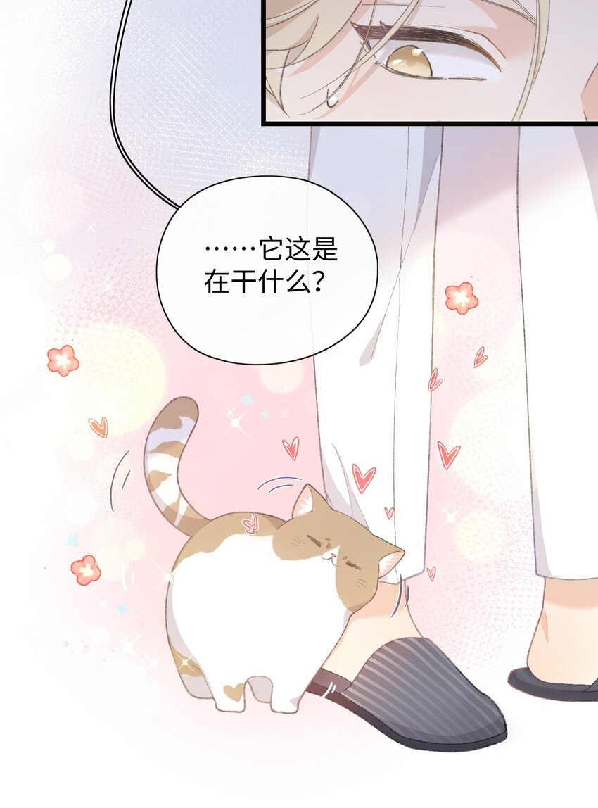《加菲猫复仇记》002 情侣养宠，多半分手 第39页