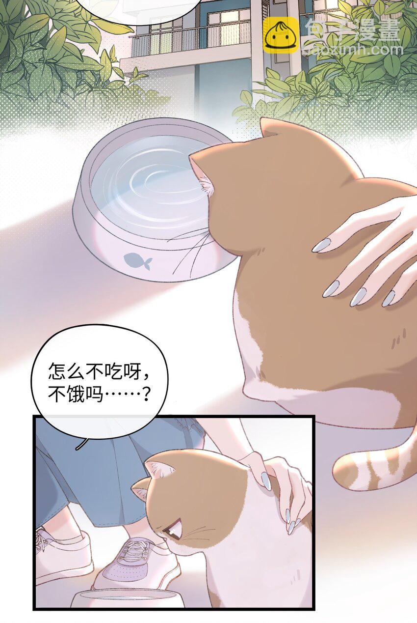 《加菲猫复仇记》002 情侣养宠，多半分手 第3页