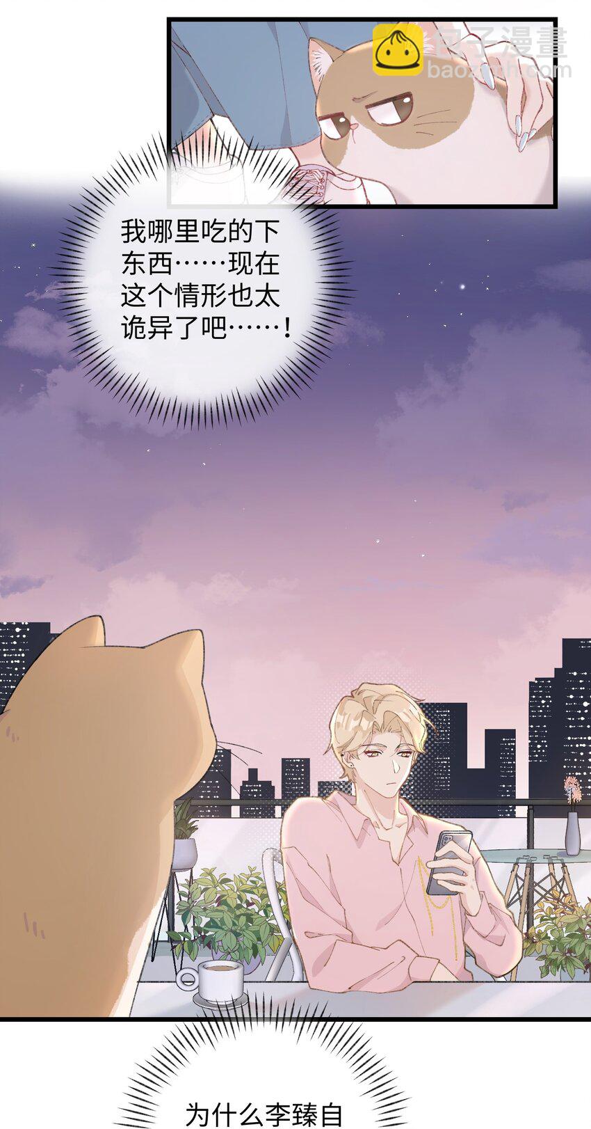 《加菲猫复仇记》002 情侣养宠，多半分手 第4页
