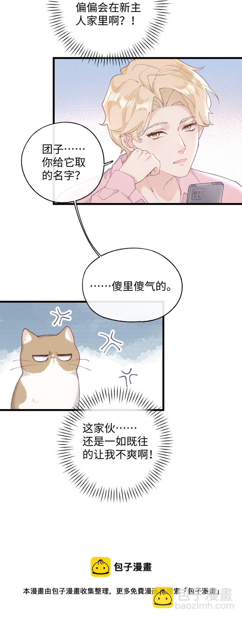 《加菲猫复仇记》002 情侣养宠，多半分手 第5页