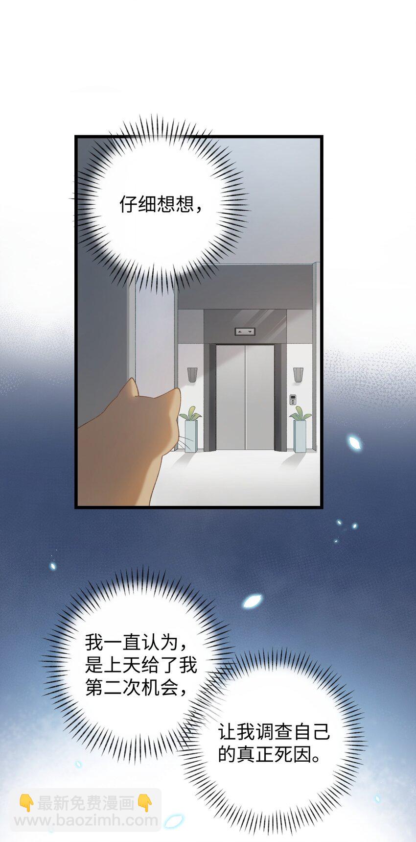 《加菲猫复仇记》003 只是因为在电梯门口多看你一眼 第16页