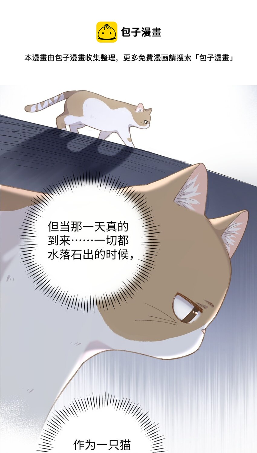 《加菲猫复仇记》003 只是因为在电梯门口多看你一眼 第17页
