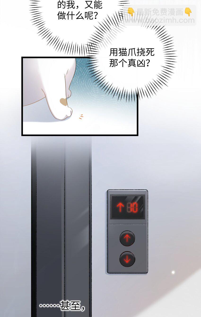 《加菲猫复仇记》003 只是因为在电梯门口多看你一眼 第18页
