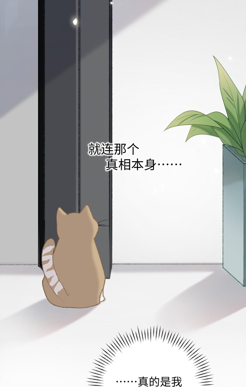 《加菲猫复仇记》003 只是因为在电梯门口多看你一眼 第19页
