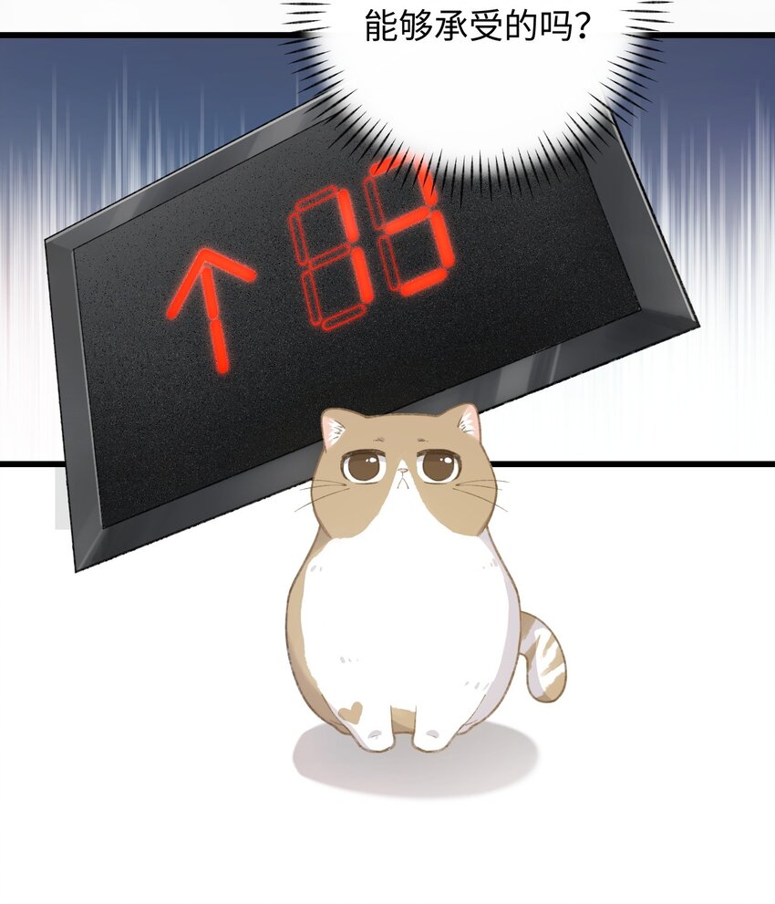 《加菲猫复仇记》003 只是因为在电梯门口多看你一眼 第20页
