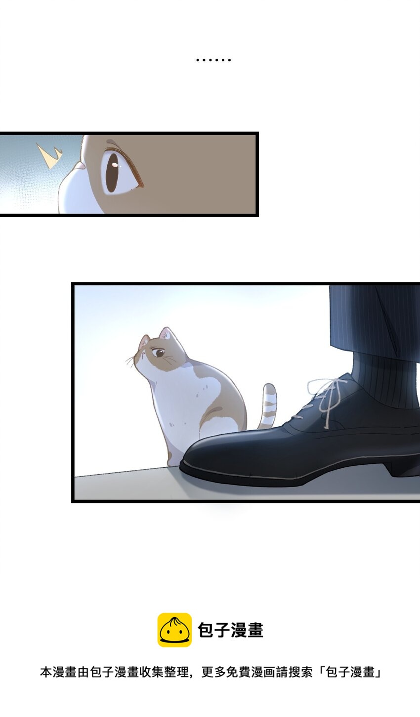 《加菲猫复仇记》003 只是因为在电梯门口多看你一眼 第21页