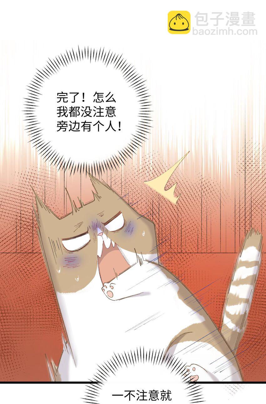 《加菲猫复仇记》003 只是因为在电梯门口多看你一眼 第22页