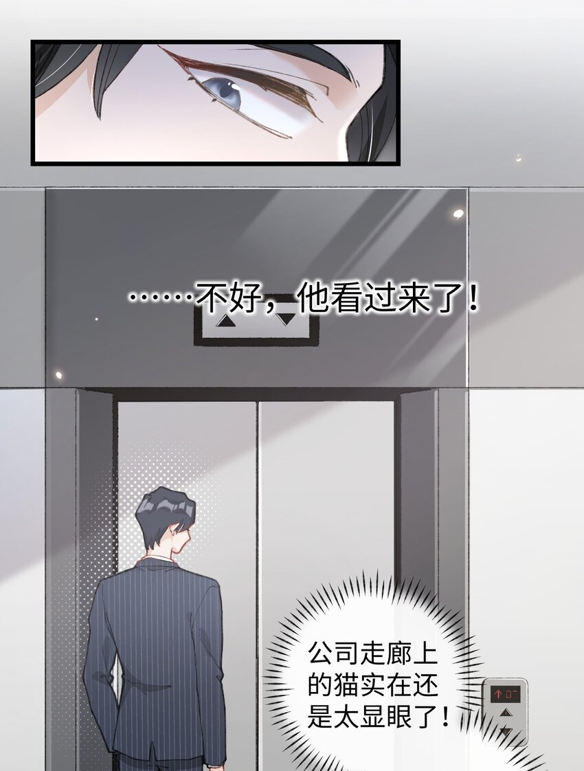 《加菲猫复仇记》003 只是因为在电梯门口多看你一眼 第26页