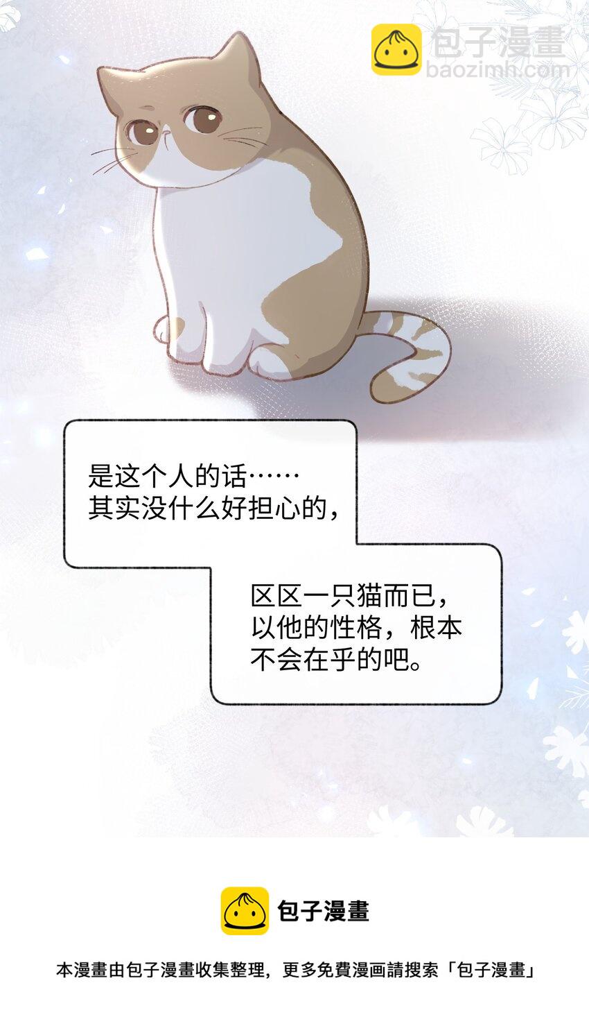 《加菲猫复仇记》003 只是因为在电梯门口多看你一眼 第29页