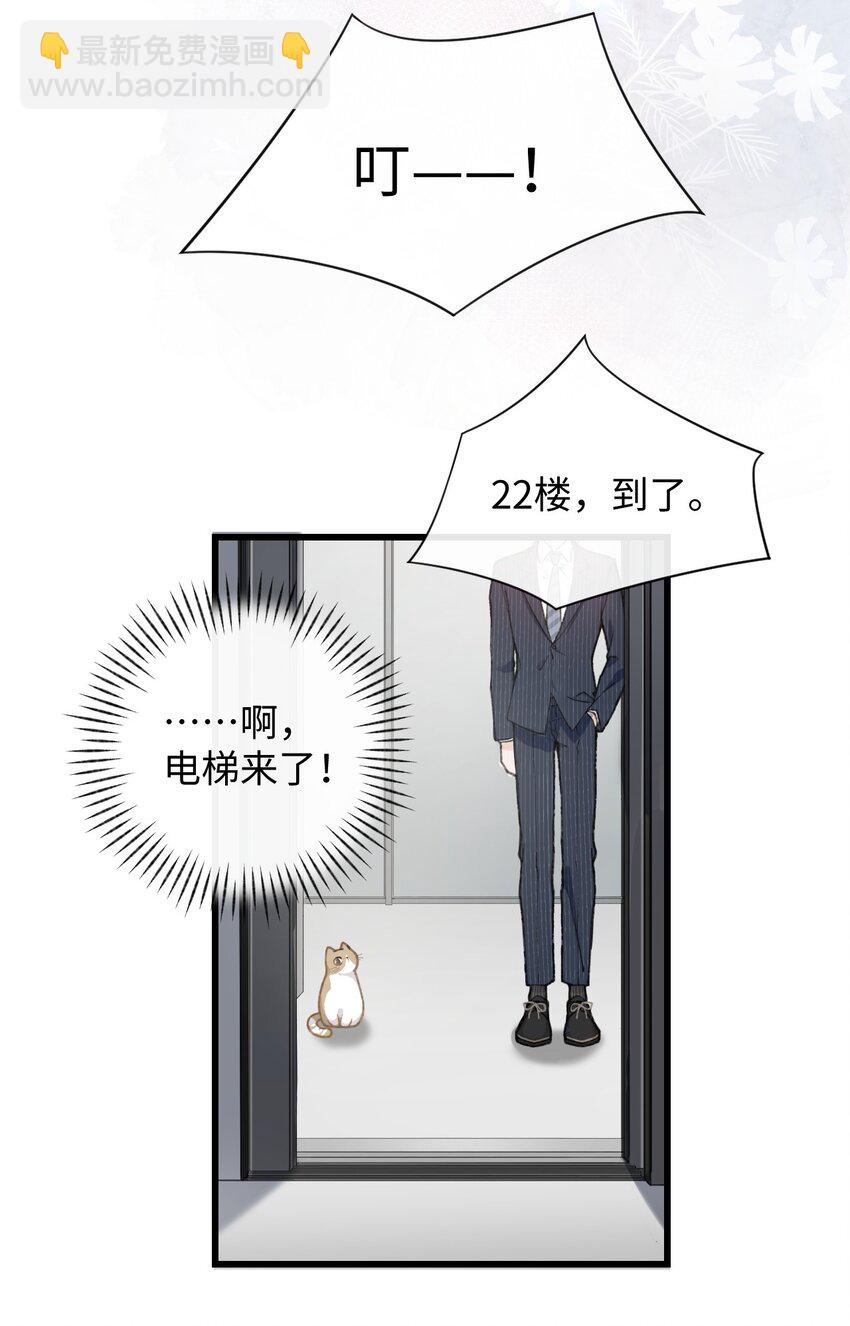 《加菲猫复仇记》003 只是因为在电梯门口多看你一眼 第30页